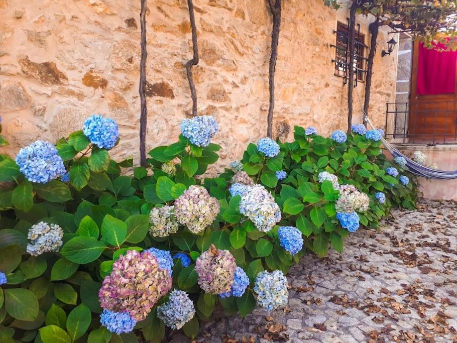Quintinha De Santiago Villa Oliveira de Azeméis Bagian luar foto